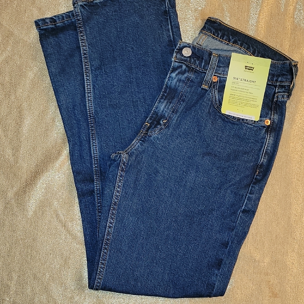 Levi's Dark Blue Straight Jeans